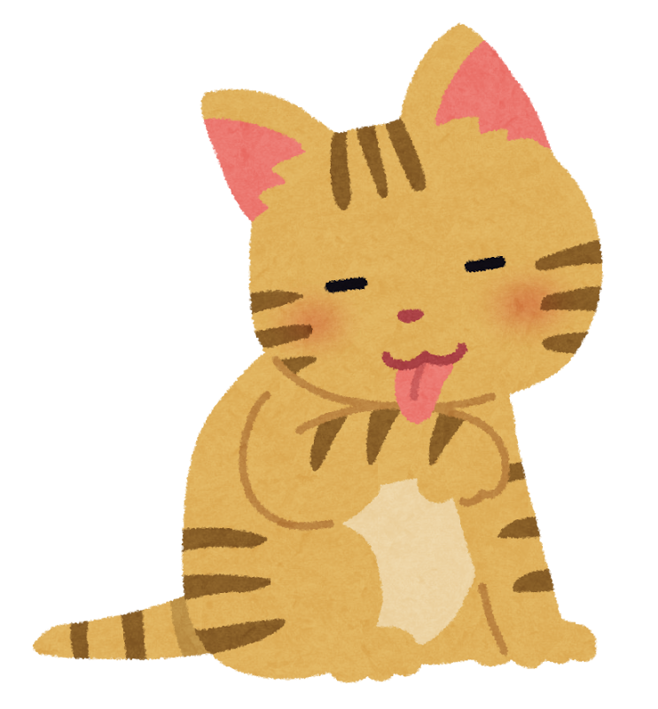 The cat