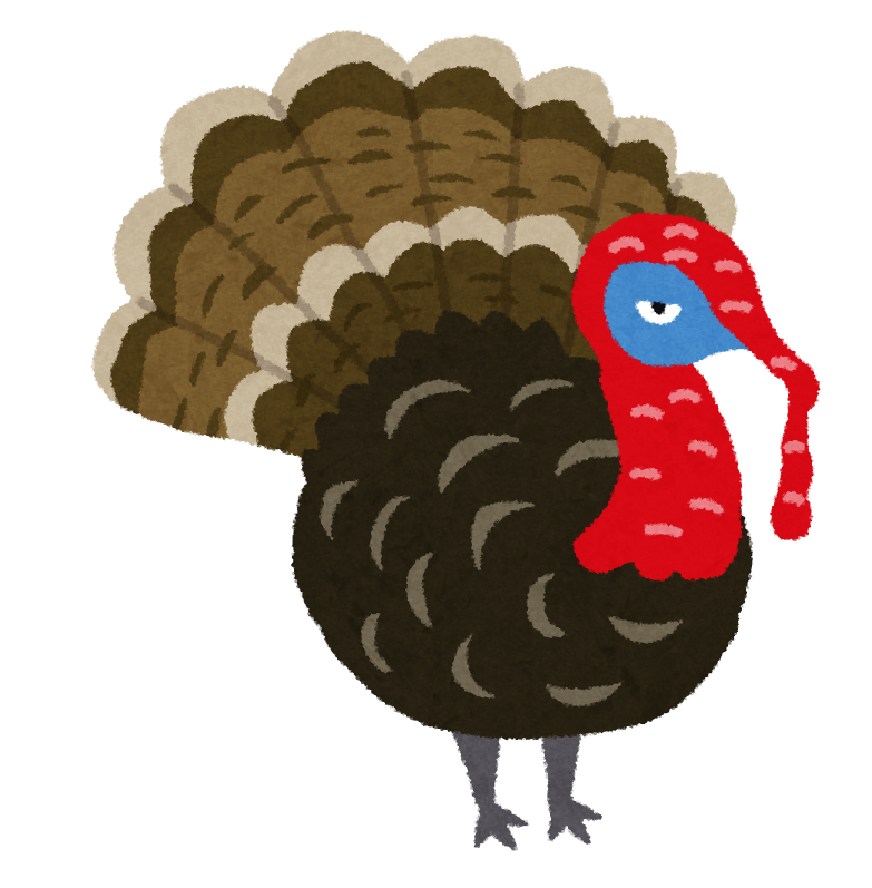 The turkey